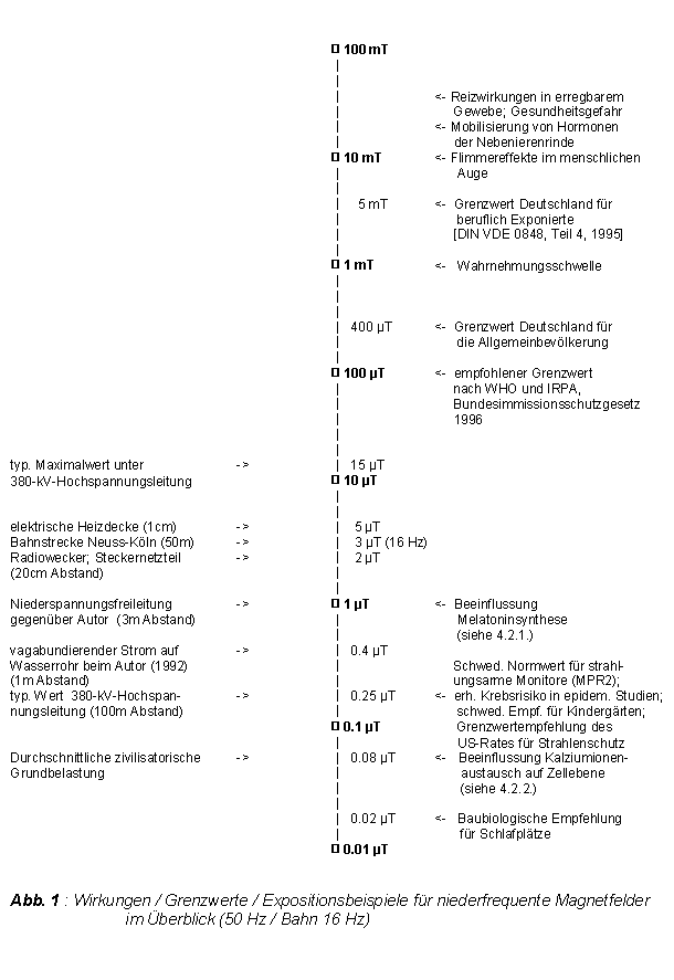 < Abb.1 : Wirkungen, Grenzwerte und Expositionsbeispiele fr magnetische Felder - 14 kB >